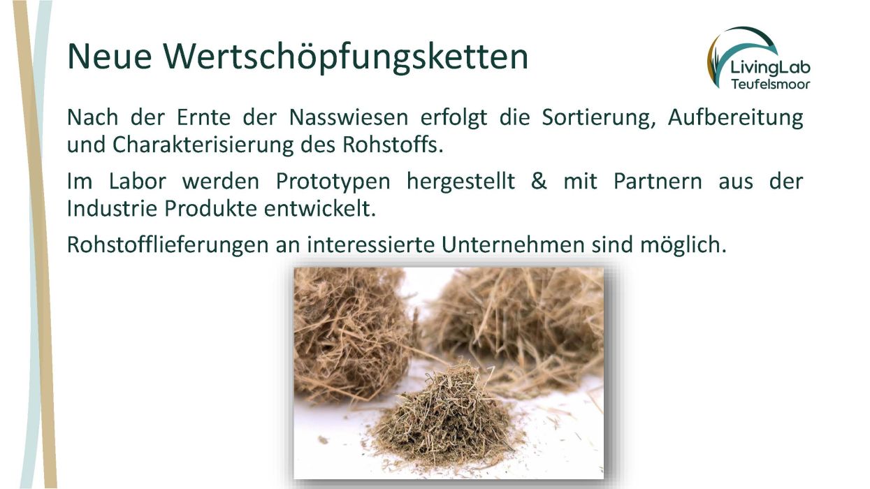 Slide-010